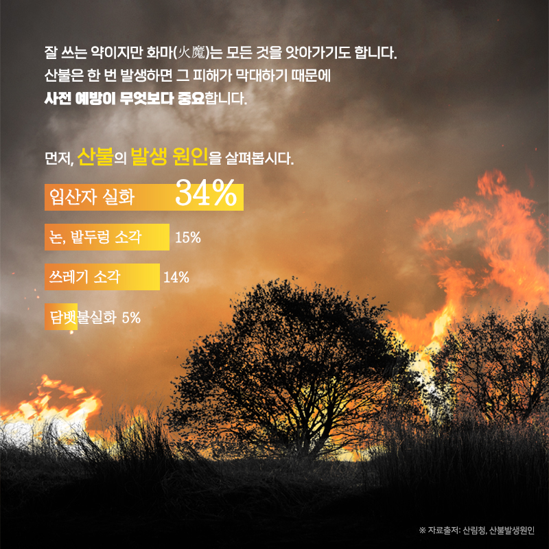 2.나무 수만그루를 태우는 담배 한개비 사소한 부주의가 우리 삶의 터전을 빼앗을 수 있습니다.